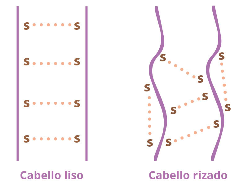 Enlaces cabello